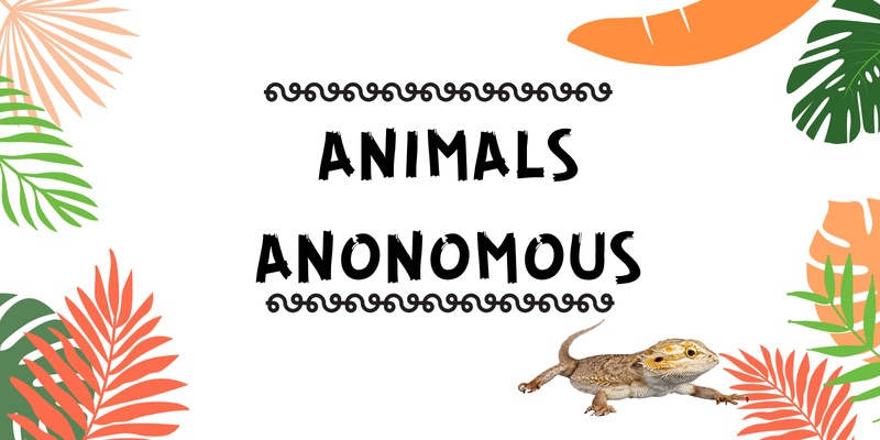 School Holiday Animals Anonymous