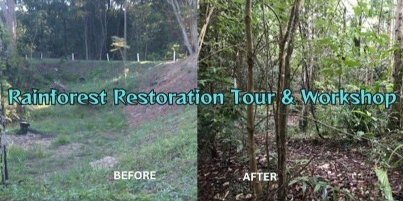Rainforest Restoration Tour & Workshop
