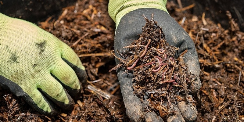 Introduction to Worm Farming NOWRA