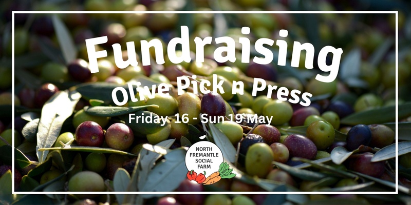 Fundraising Olive Pick n Press