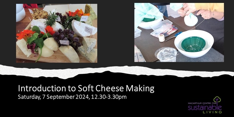 Introduction to Soft Cheese Making