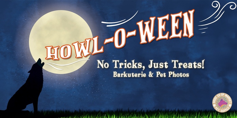 Howl-o-ween Barkuterie and Pet Photos