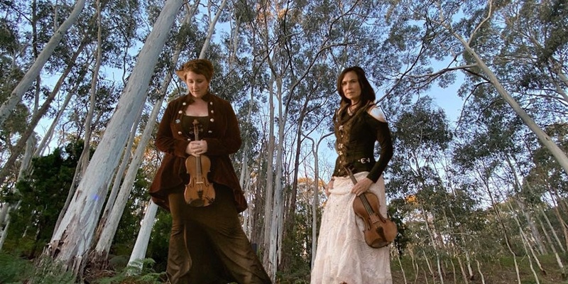 Fiddles in the Forest @ Sinclair's Gully