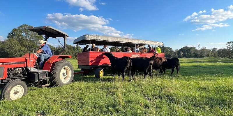 Family Farm Fun Day