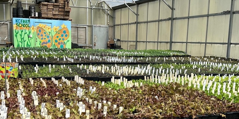 Seeding and Potting Event