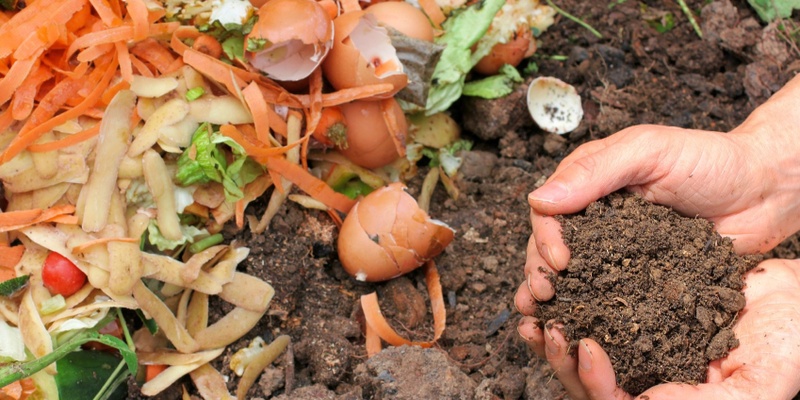 Worm Farming & Composting