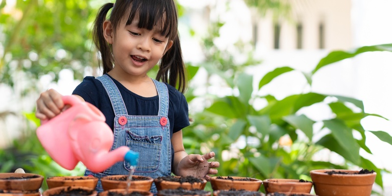 School Holidays - Grow Your Own Gift - Ages: 5-10 @ Miller Library