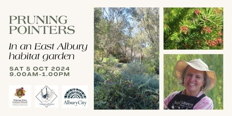 Pruning pointers in an East Albury habitat garden