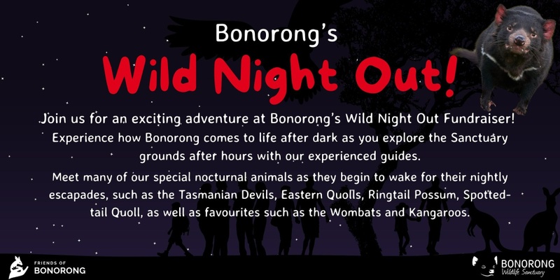 Bonorong's Wild Night Out