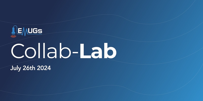 2024 Online Collab Lab