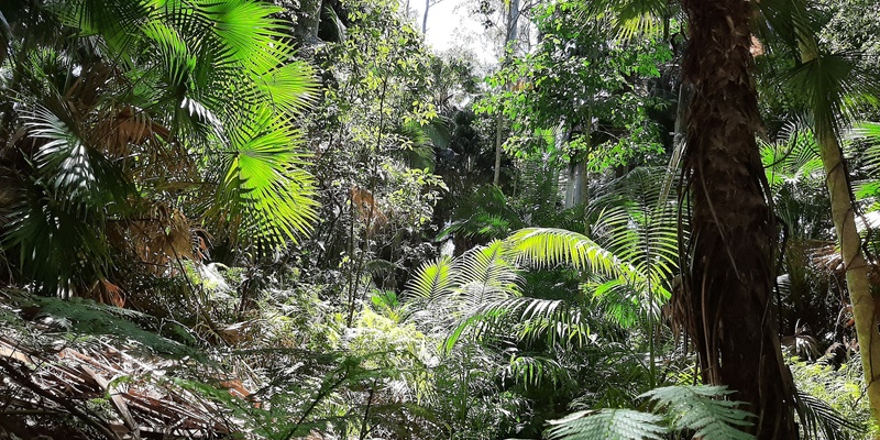 Private group Nature Connection session at Alex Forest