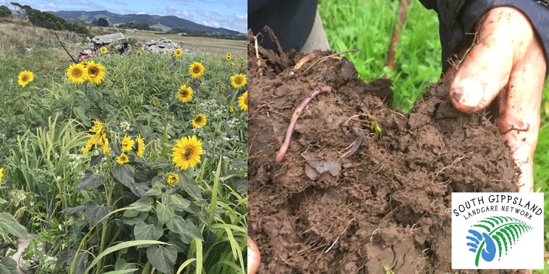 Multispecies Coaching project  Farm walk, and hear from the participants