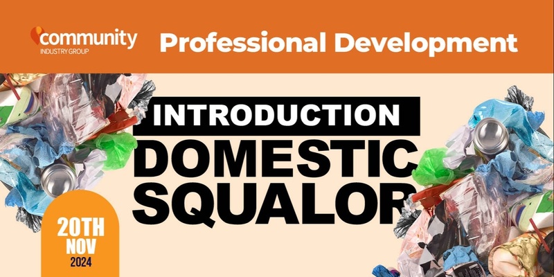 Introduction to Domestic Squalor