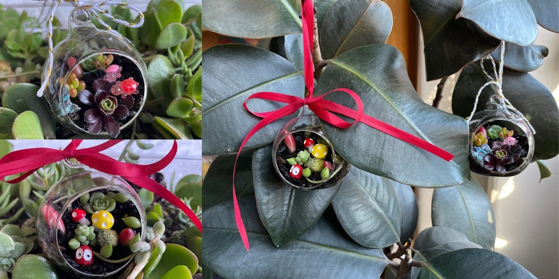 Living Terrarium Baubles with Winter