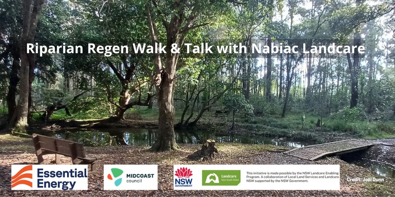 Riparian Regen Walk & Talk with Nabiac Landcare