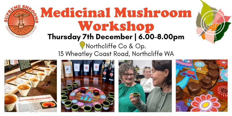 Medicinal Mushrooms Workshop Northcliffe