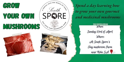 Grow Your Own Mushrooms Workshop Sunday 23 April Humanitix