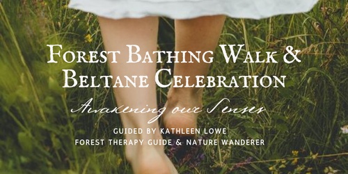 Forest Bathing Walk & Celebration Of Beltane | Humanitix