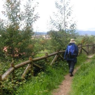 tourhub | UTracks | The Portuguese Camino - Coimbra to Porto 