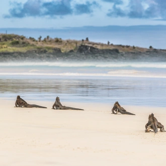 tourhub | Exodus Adventure Travels | Galapagos: In Darwin's Footsteps 