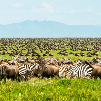 tourhub | Alaitol Safari | 9 Days Unforgettable Tanzania  