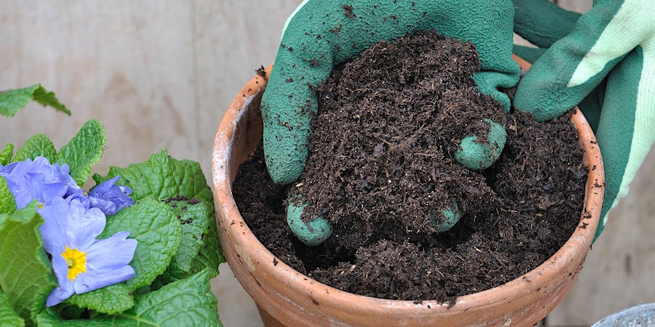 Home Made potting mix