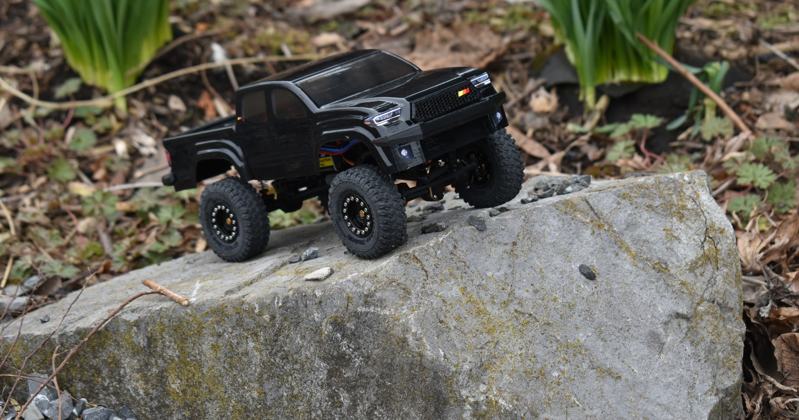 RC Rock Crawlers