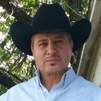 Jose Antonio Perez-Ortiz Profile Photo