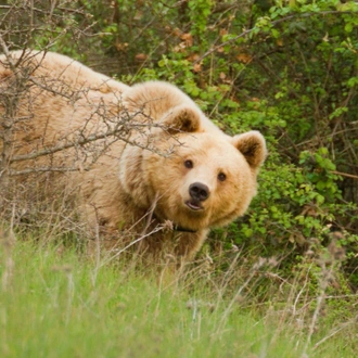 tourhub | Wild Frontiers | Northern Greece: Along The Via Egnatia 