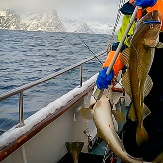 tourhub | World Sea Explorers AS | Winter Cod Fishing in Arctic Norway 