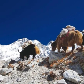 tourhub | World Expeditions | Everest Base Camp over 55's in Comfort 