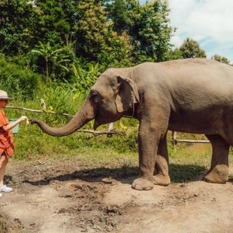 tourhub | TruTravels | Northern Thailand & Full Moon 