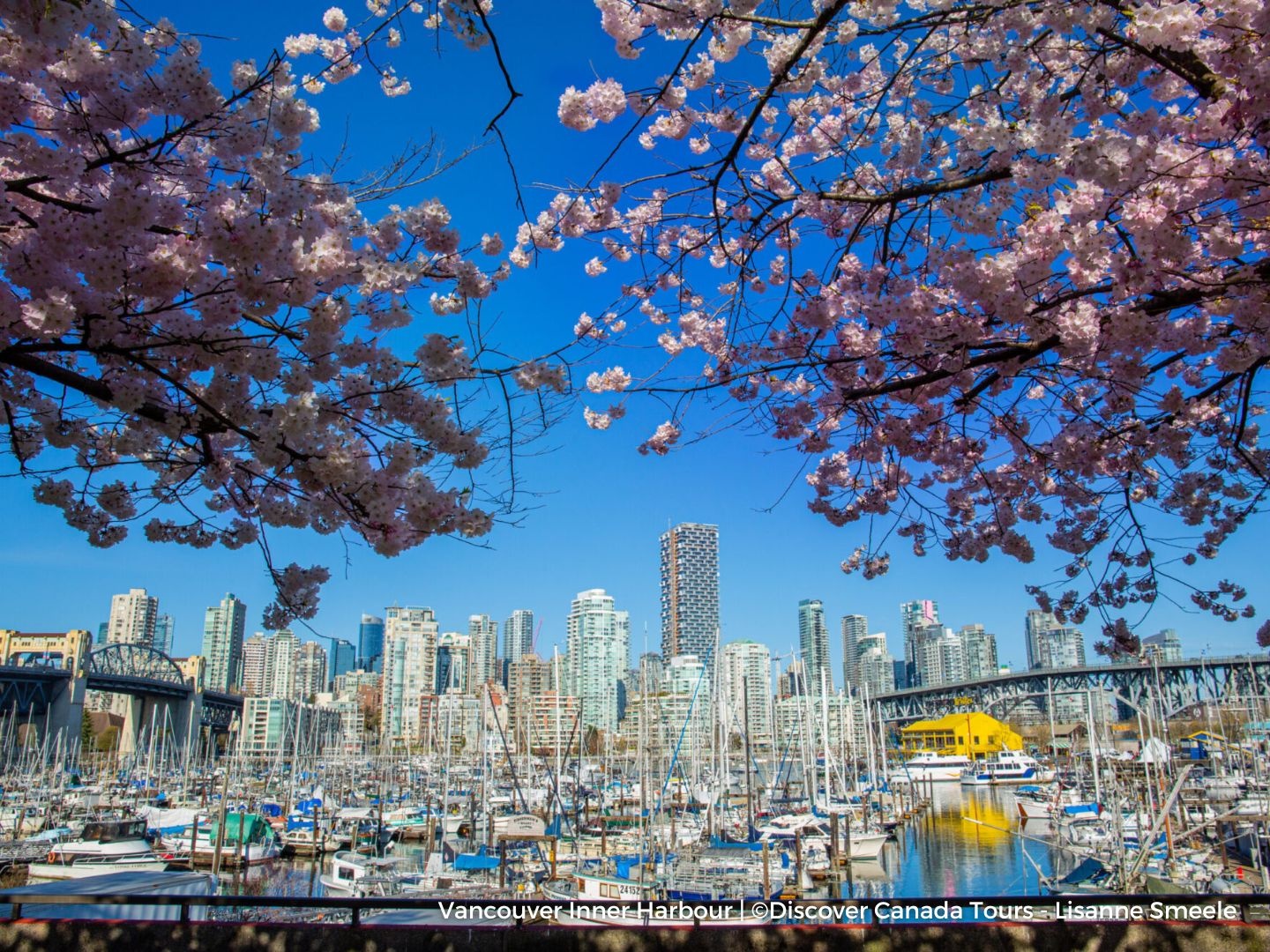 Discover Vancouver Half-Day Tour