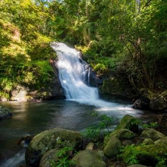 tourhub | Destination Services Costa Rica | Mystic Waterfalls & Forests Of Costa Rica 