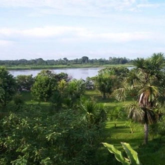 tourhub | Tangol Tours | 4-Day Trip to Pacaya Samiria National Reserve in Iquitos 