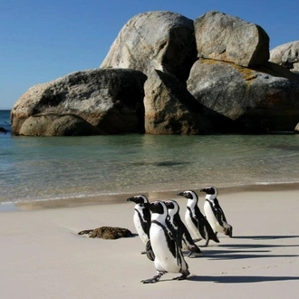 tourhub | Today Voyages | Cape Town Kruger and Garden Route, Self-Drive 