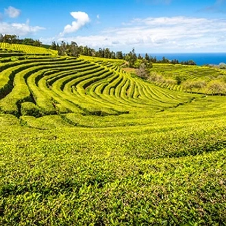 tourhub | Globus | Highlights of Spain and Portugal with Azores 