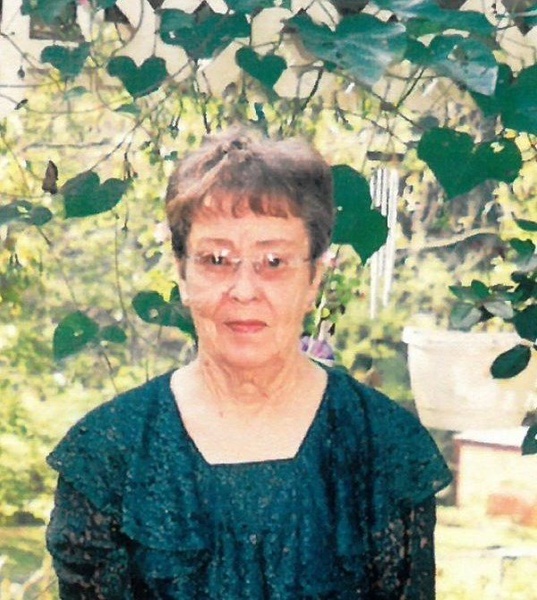 Shirley Johnson Allen Profile Photo