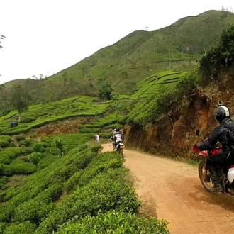 tourhub | Motor Trails | 10 Days Sri Lanka Highlights Guided Motorcycle Tour 