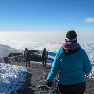 tourhub | Intrepid Travel | Kilimanjaro: Machame Route 