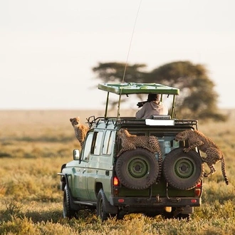 tourhub | Gracepatt Ecotours Kenya | 4 Days Masai Mara and Lake Nakuru Camping Safari on 4x4 Jeep 