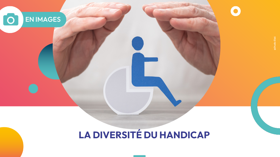 Représentation de la formation : La Diversité du Handicap 