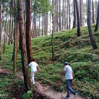 tourhub | Shepherd Holidays | Explore the Mystic Kathmandu and Surroundings 