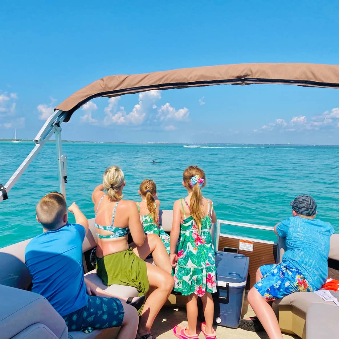 Captained Adventure to Crab Island: Options for Sunset Cruises with Dolphins & Fireworks image 8