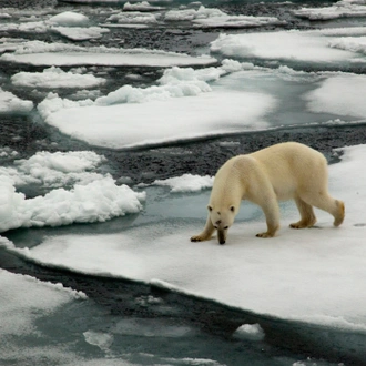 tourhub | Exodus Adventure Travels | Spitsbergen Highlights: Expedition in Brief 