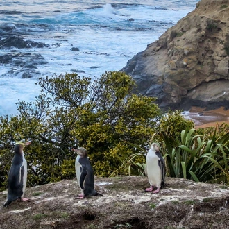 tourhub | Explore! | New Zealand Explorer 