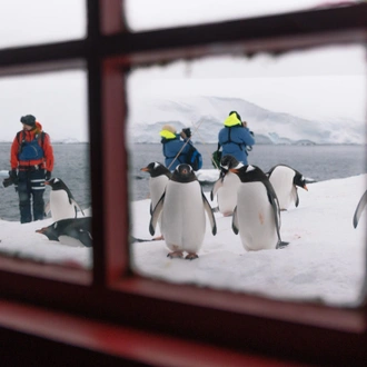 tourhub | Intrepid Travel | Ultimate Antarctica: Falklands, South Georgia & the Antarctic Circle (Ocean Endeavour)  