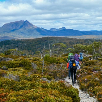 tourhub | Intrepid Travel | Trek the Cradle Mountain Overland Track  