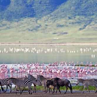 tourhub | Mbega African Safaris | luxury enjoy trip in some Tanznia parks and conservation 