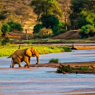 tourhub | Bamba Travel | Lakes & Mountain Safari 10D/9N (Masai Mara, Lake Nakuru & Baringo, Samburu, Amboseli) 